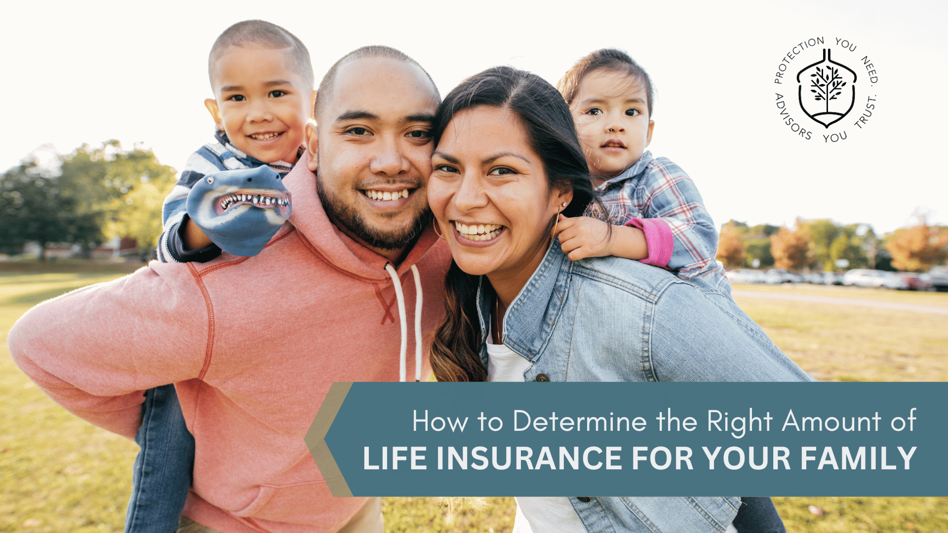 Term Life Insurance planning